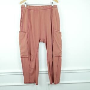 Free People Pink Relaxed Pants